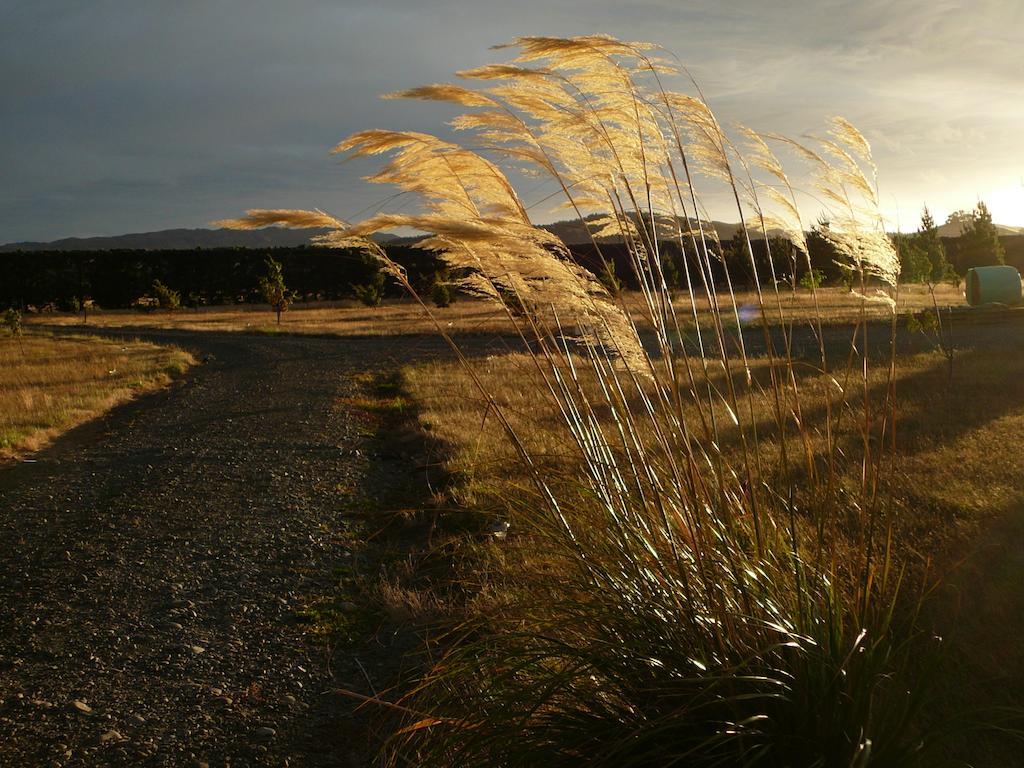 Bentleys Country Stay Hawarden Eksteriør bilde